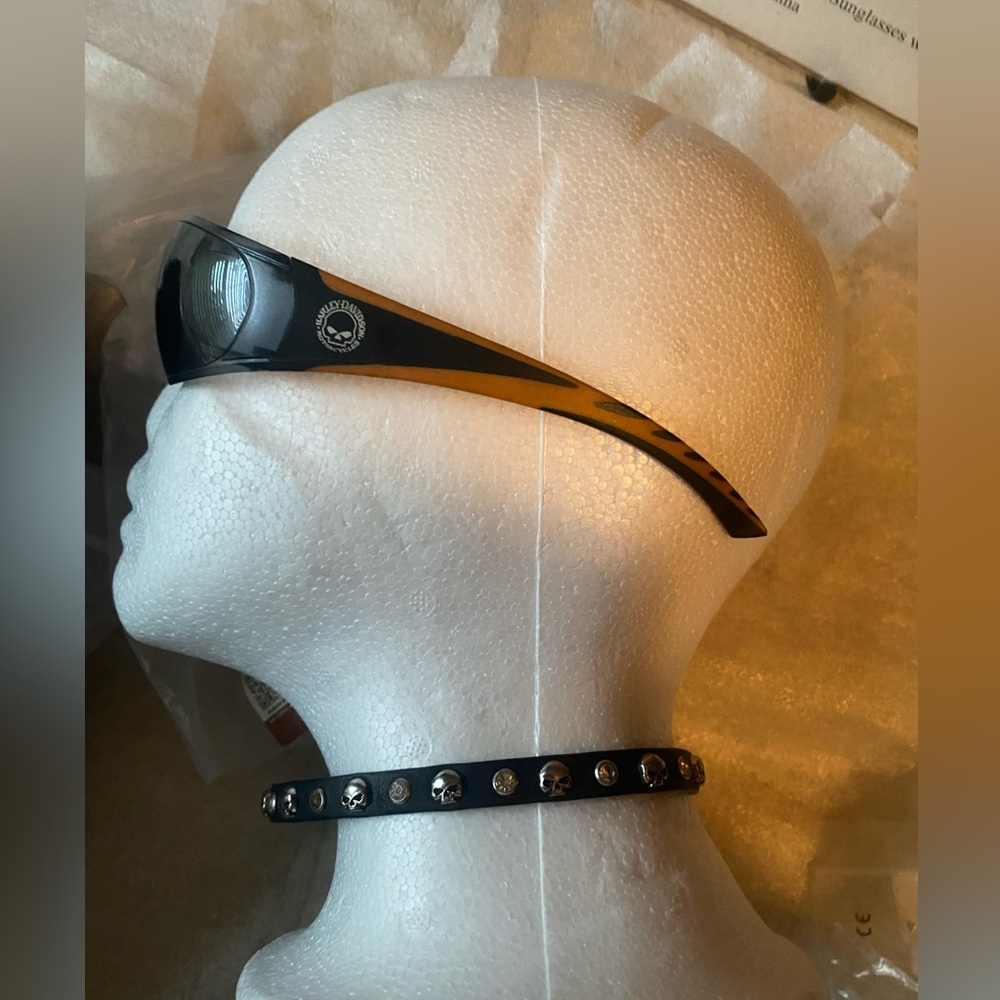 Harley Davidson Wille G Skull Sunglasses